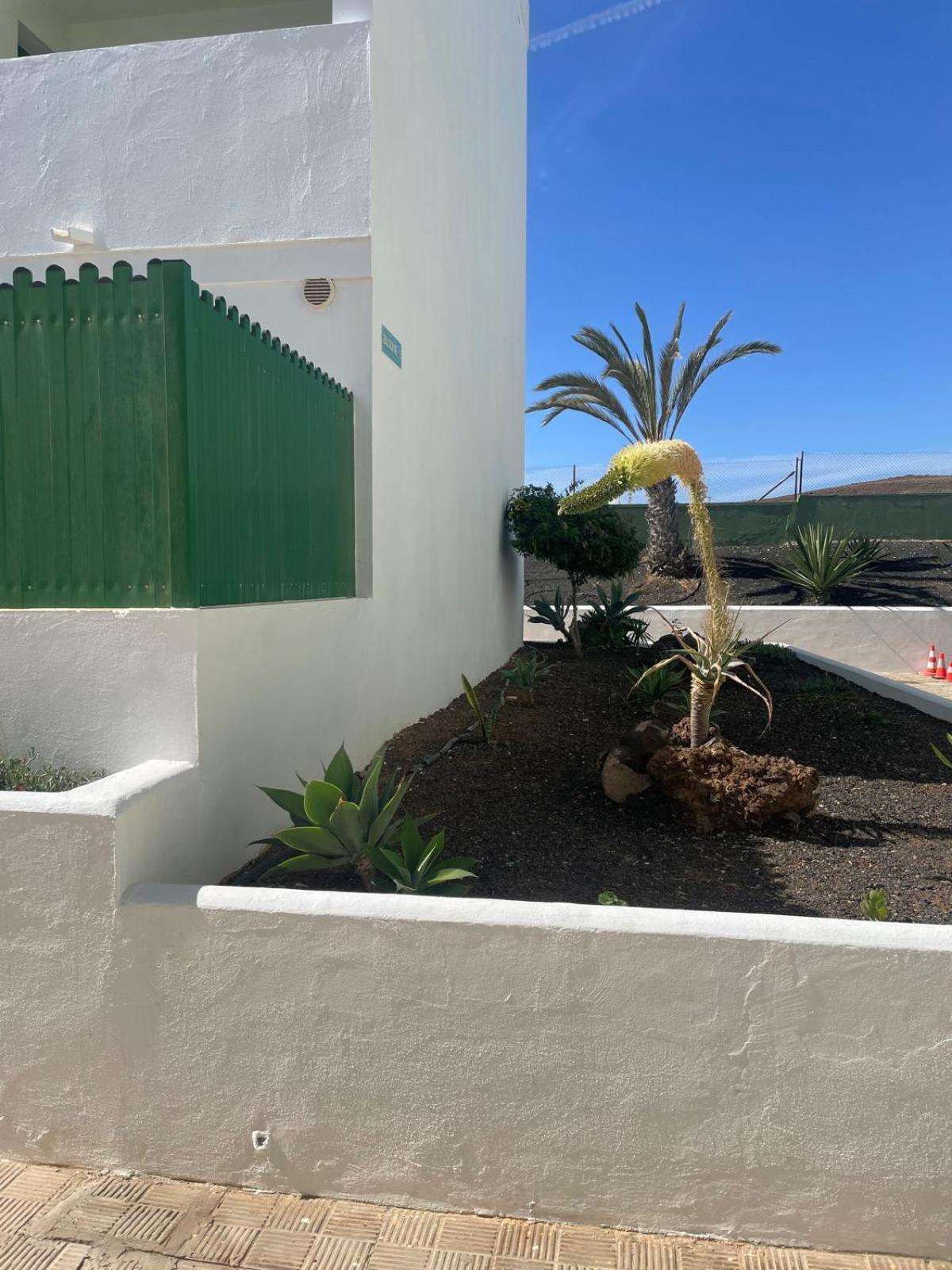 Fuertesun Dunas Beach Parque Holandes Exterior photo